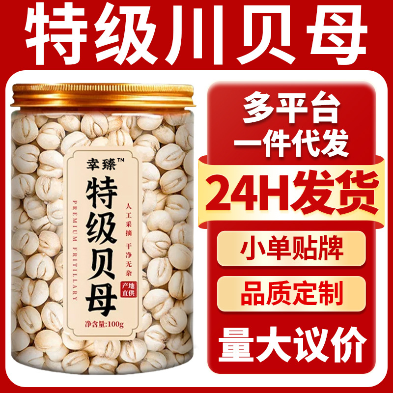 Premium Sichuan Fritillaria Bulb 100g Dried Chuan Bei Mu for Herbal Decoction and Soup overview