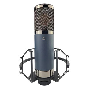 TF11 condenser microphone live microphone microphone cross-border e-commerce TikTok studio large diaphragm TikTok
