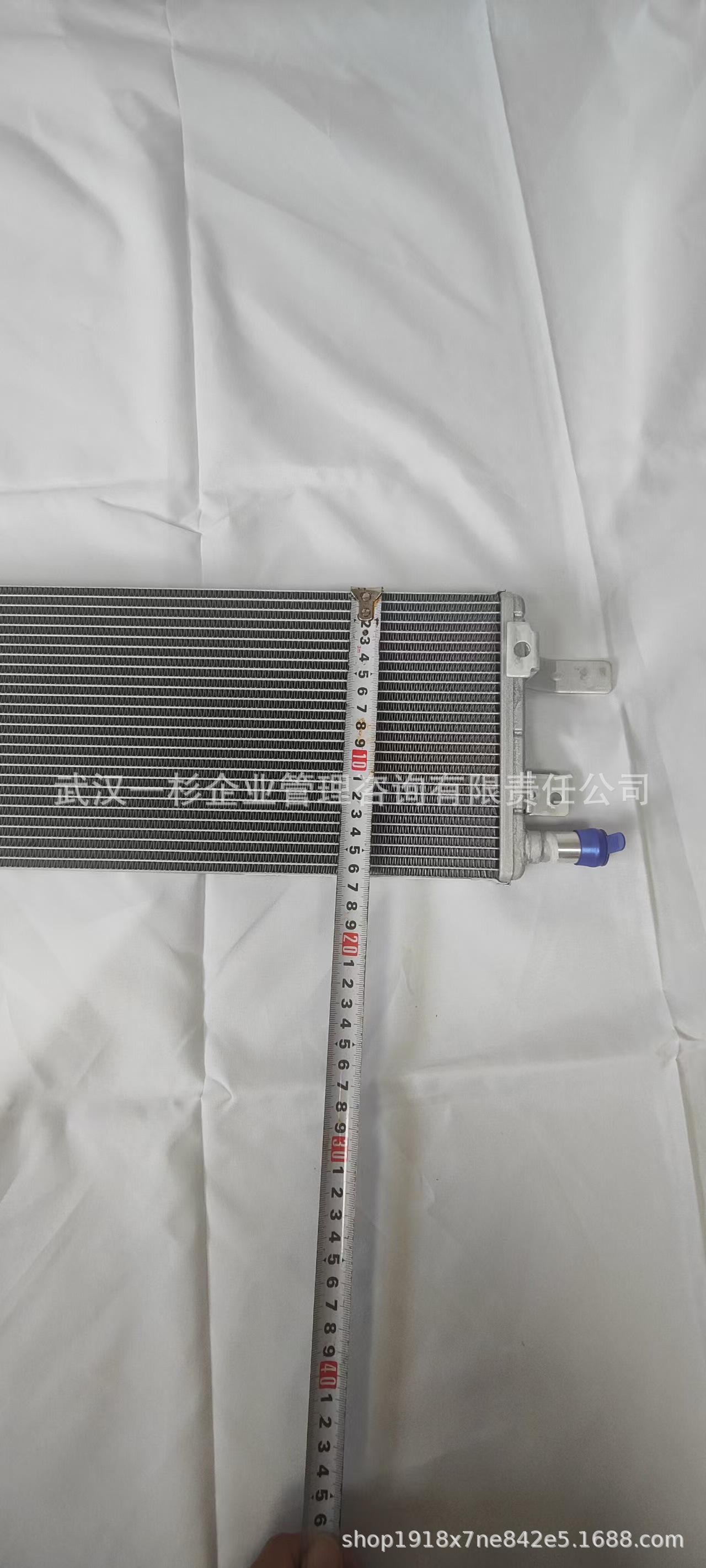 Direct sales from the original manufacturer B100006560 B016691 motor radiator for Yixuan MAX/Haoji