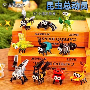 Ȥζ�������x�۷�3D���wƴ�DDIY�ֹ�΢�w��ƴ�b��С��߃�ͯ6