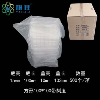 方形100*100mm带刻度  塑料培养皿 一次性培养皿 整箱价|ru