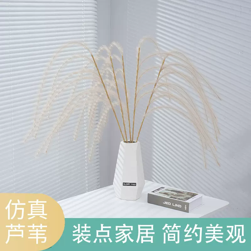 ins简约高级轻奢韩系落地芦苇仿真装饰客厅直播间室内绿植摆设