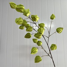 \c滨픿YbٻҾܛb廨ˇS