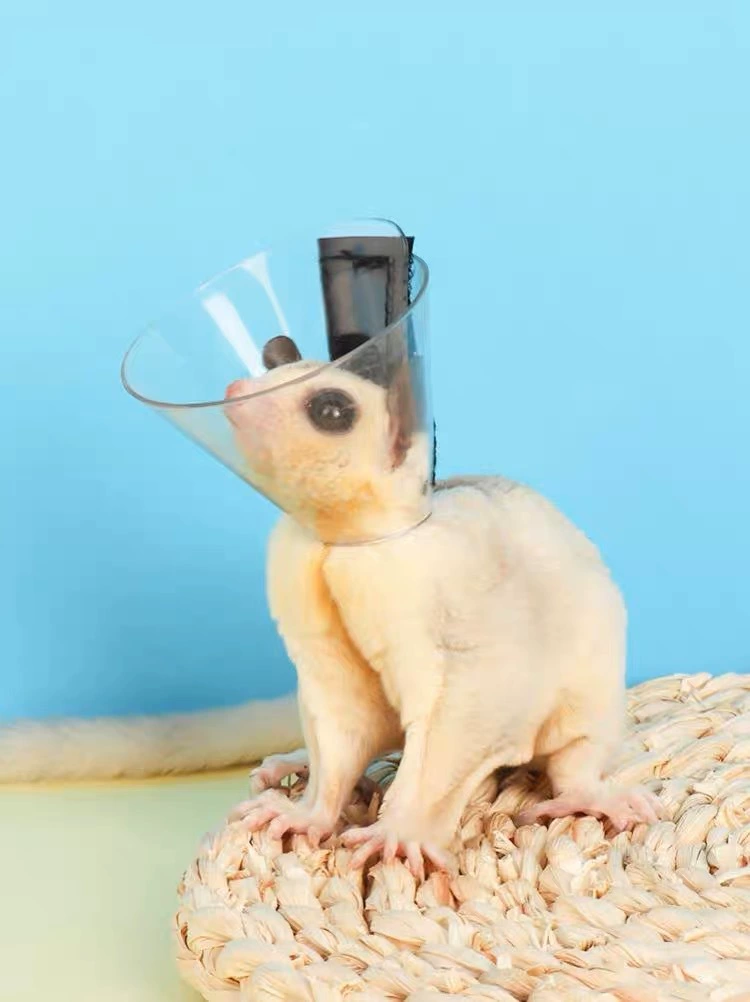 Цветочная ветка мышь Элизабет кольцо хомяк против укусов кольцо белка лекарство против лизания Ванна водонепроницаемые товары для домашних животных прозрачный