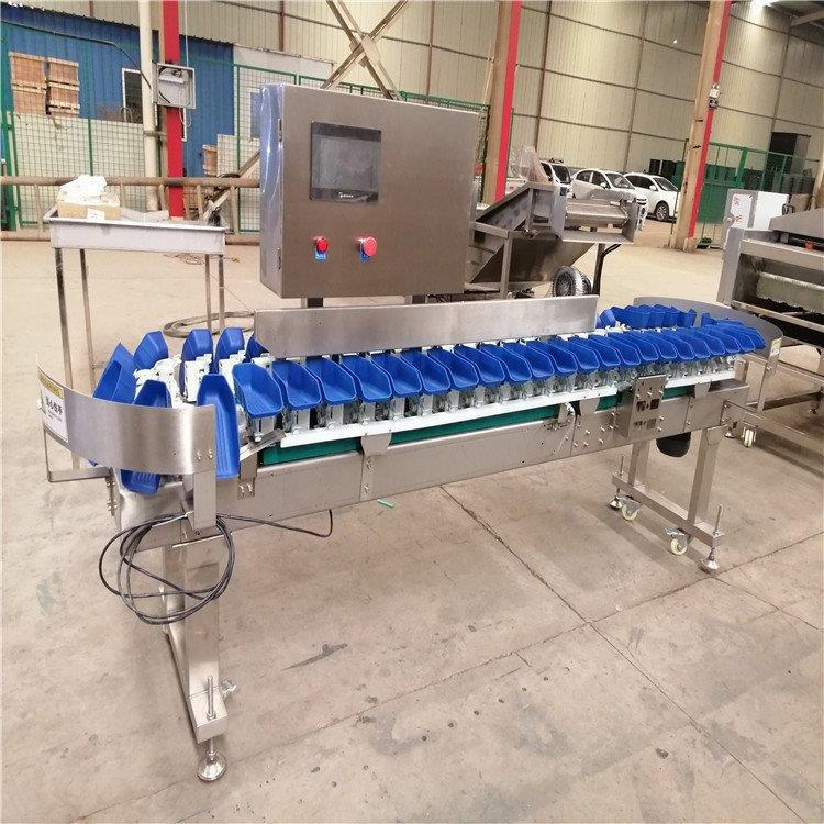 6 pesos clasificador de frutas y verduras productos del mar equipos de clasificación de caja de ostras pepinos de mar tipo de mesa giratoria clasificación automática