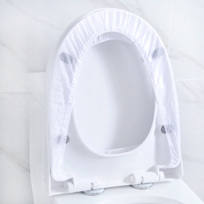 Disposable toilet