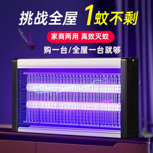 ���ß���ω���͏d����2025�����҃ȹ��ܶ������