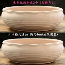 大号多肉拼盘陶瓷花盆客厅室内桌面阳台粗陶有孔超透气绿植大花金