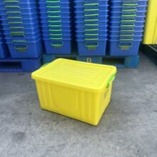 ���Ƹ��N�ɫ�t�{�S�Ȱ��ϾG�����;����������D���z�����D�䎧�w