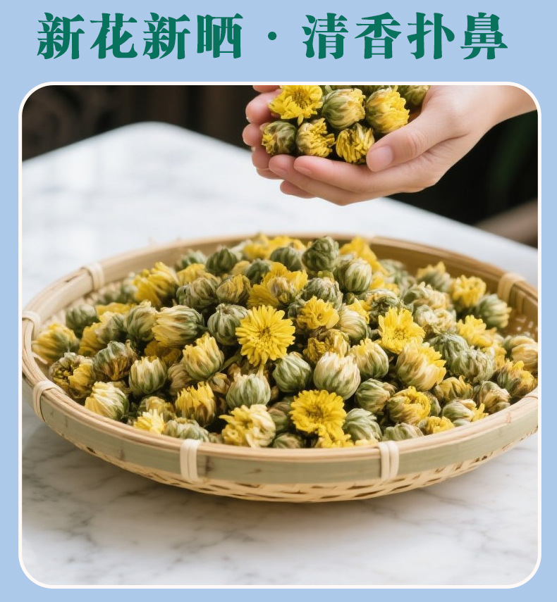 Tai Ju Chrysanthemum Tea 40g Jar Dried Flos Chrysanthemi Buds for Daily Brewing in use