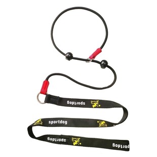 Pet Traction Rope Thin P Rope Traction Rope P Rope Dog Training Traction Rope Dog Walking Adjustable Small and Medium-sized Universal Traction Rope