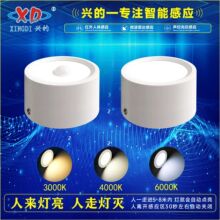 LED红外人体感应明装筒灯展示店走廊阳台过道雷达声控筒灯射灯