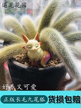 ��β�����������Lܛë�׺�Ʒ�N�_�������҃��̨�Gֲ����ϡ��ֲ��
