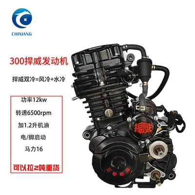 Motorcycle Engine [Hanwei 300 Water Cooled] Tricycle Engine (Motorcycle engine and accessories)