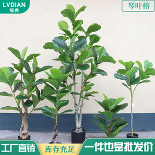 �G�����Gֲ���~������ͨ�w����䱱�W�L�bپGֲ�٘�����Ř�