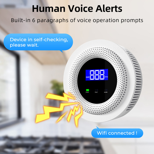 Doodle Smart Home WiFi Gas Leak Detector Kitchen Coal Leakage Home Electromagnetic Valve Combustible Gas Alarm