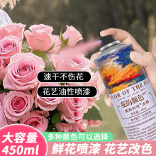 450ml花的颜色鲜花喷色剂速干喷漆彩色玫瑰染色剂花店资材批发