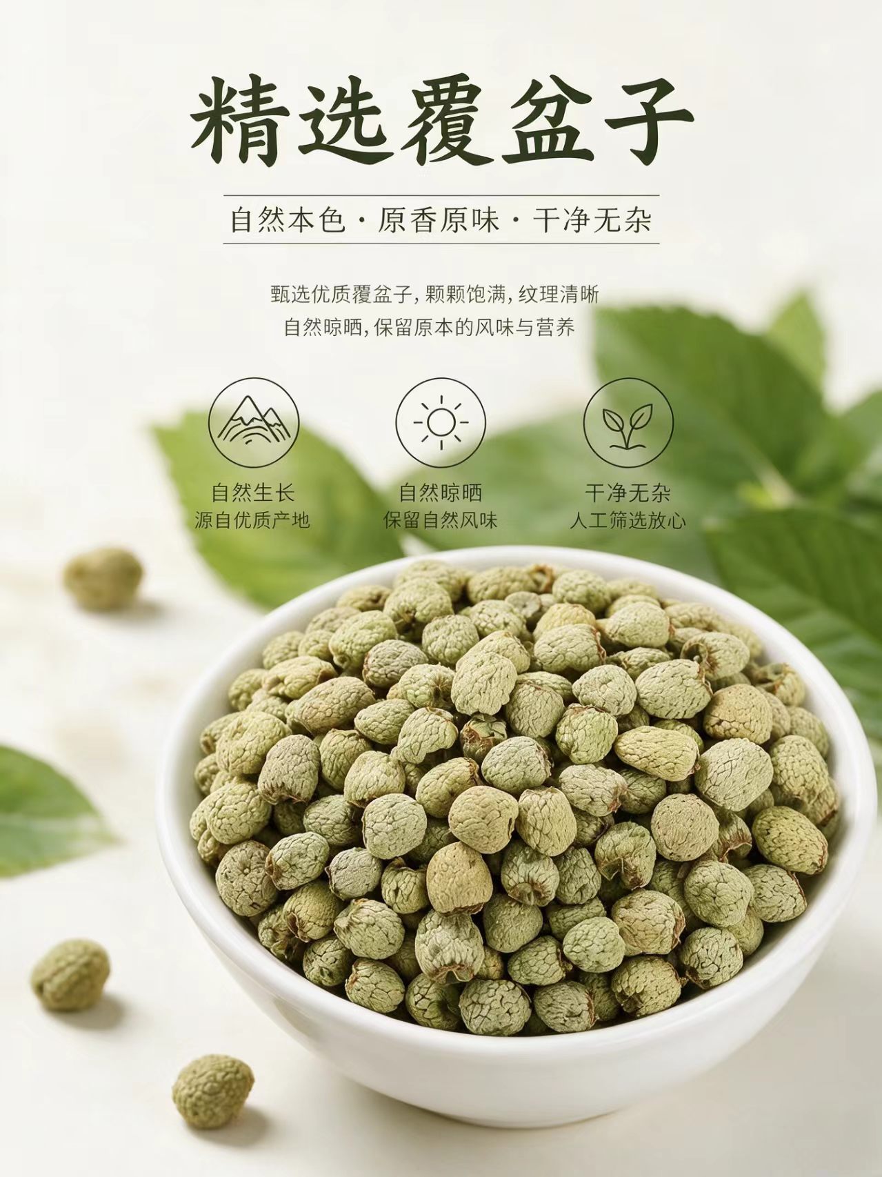 Fu Pen Zi Raspberry Dried Fruit Tea Herb Qiandao Lake Zhejiang 1000g Bag overview
