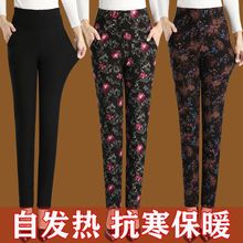 女士自发热中老年加厚棉裤新款外穿蚕丝冬季保暖裤高腰宽松女加绒