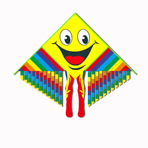 Wenjiang kite wholesale Sheng'en Hongyun Paradise Bird cartoon children full-body multi-tailed princess street stall toy kite