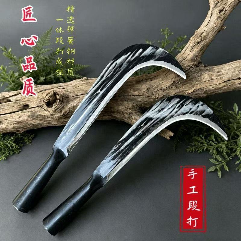 微信图片_20260607150000_2_4.jpg