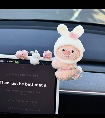 Car ornaments – for Women - piggy-combination