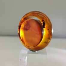 超宽白垩纪亿年棕蓝珀手镯套装brown amber手镯首饰 节日礼品饰品