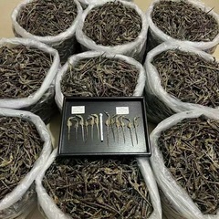 海馬の乾燥品を追跡して養殖します。