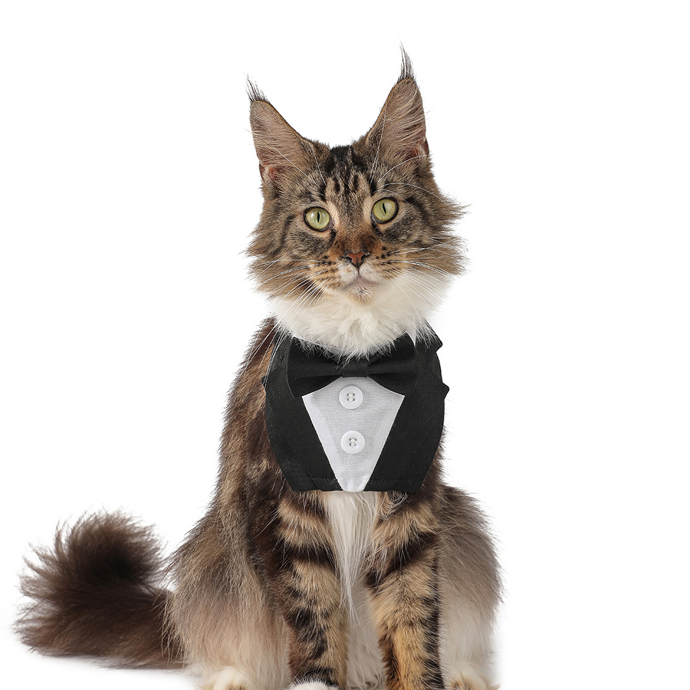 TANPOPO transfronterizo nuevo diseño original moda guapo mascota toalla triangular velcro toalla de saliva para perros