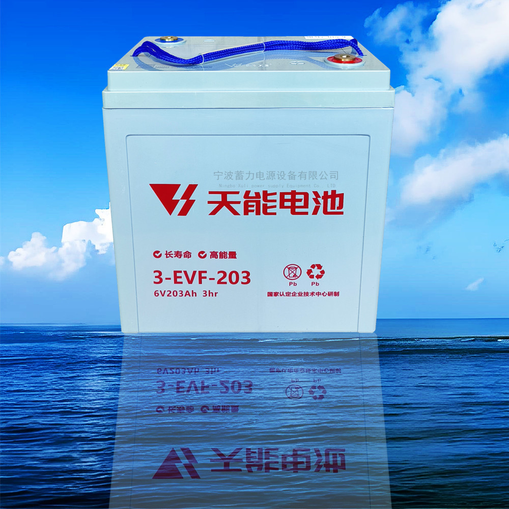 天能电池6V203电瓶奉化慈溪象山观光车3EVF-203保洁车洗地机电池