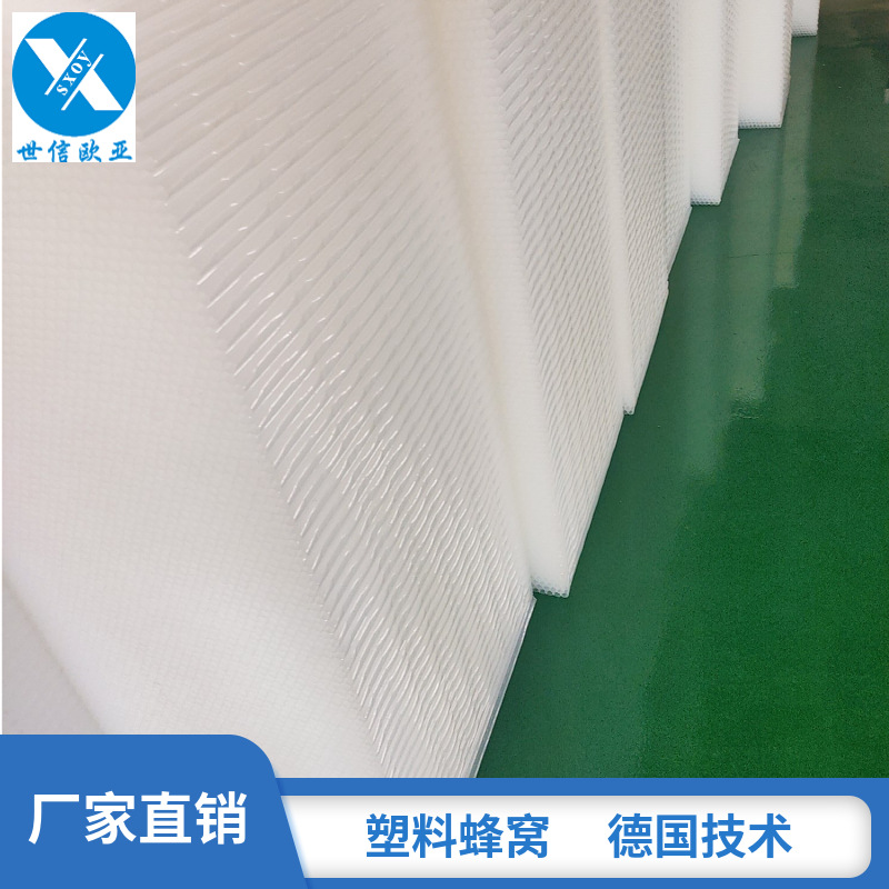 广东世信欧亚厂家直销塑料蜂窝型材夹心板 大量 PP塑料蜂窝板批发