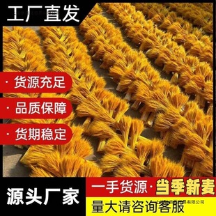 �S������ɻ��_�I������ؔ���Ӵ�����͏d�[�Ż��_�I���@�F�z����