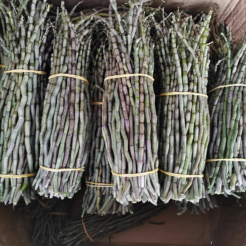 Fresh Huoshan Tie Pi Shi Hu Dendrobium Stems 5-Year Fresh Harvest for Juice Soup Wine specifications