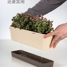 ���⻨���L�l��խ߅���L��̨�Nֲ�����̨���P�������Լ���