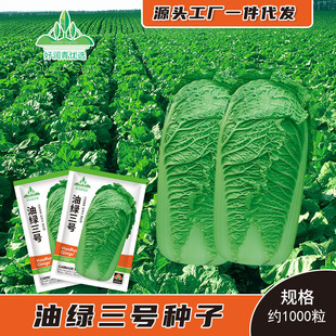 �S�����l�;G�±�����̖��ײ˷N���＾���İײ˷N���w�wʮ�˽���