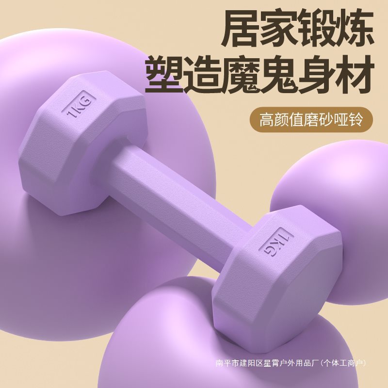Dumbbell Women's Fitness Equipment Home Barbell Kettlebell Kidsren's Female Small Dumbbell 2kg Pair Exercise Strength Training