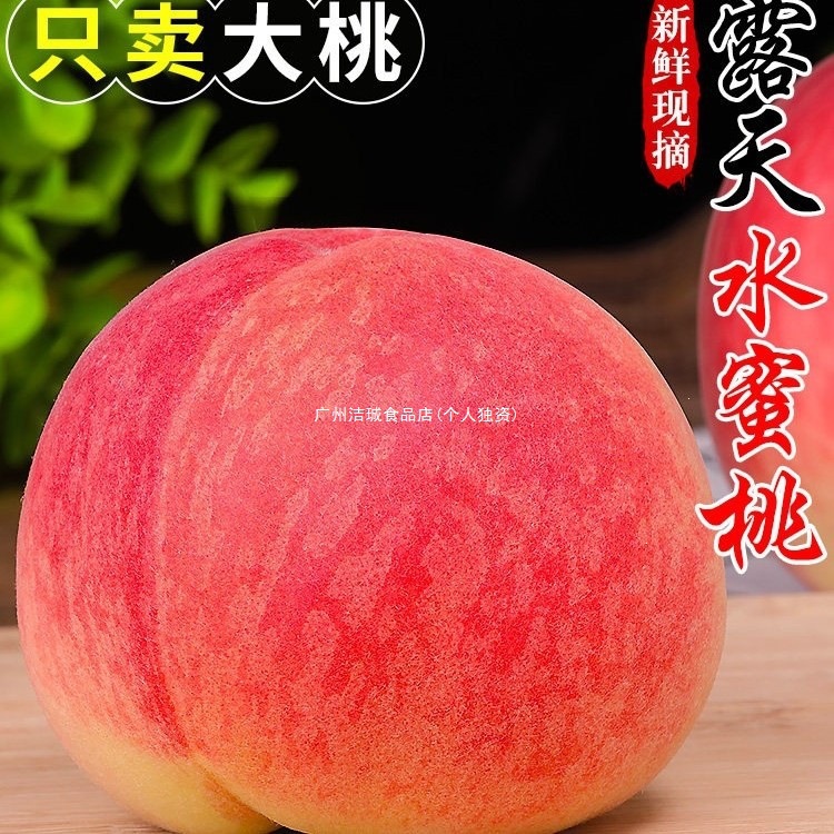 新鲜露天水蜜桃10斤毛桃子当季现摘水果脆甜春雪蜜桃大果孕妇整箱