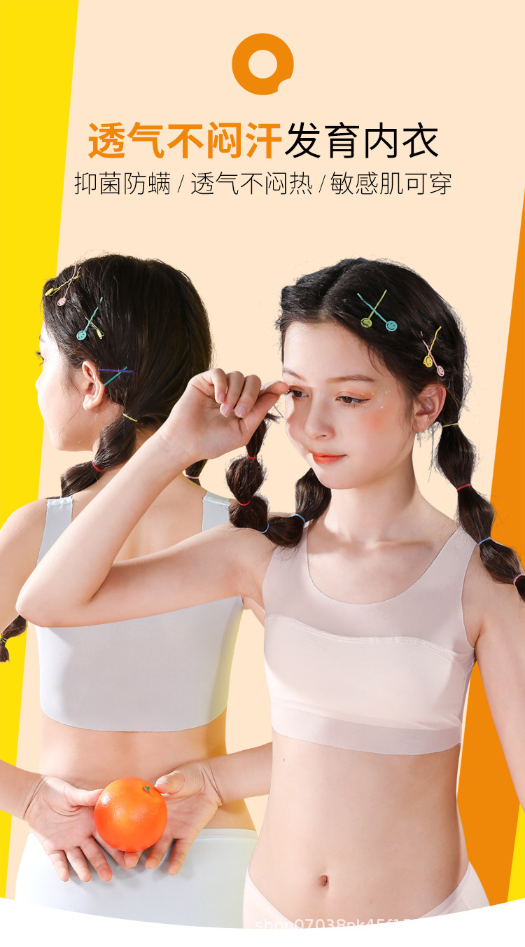 网布款_01.jpg