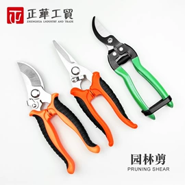 家用剪刀;其他剪刀;修枝剪