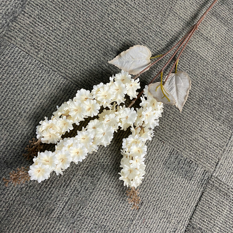 香槟色.JPG