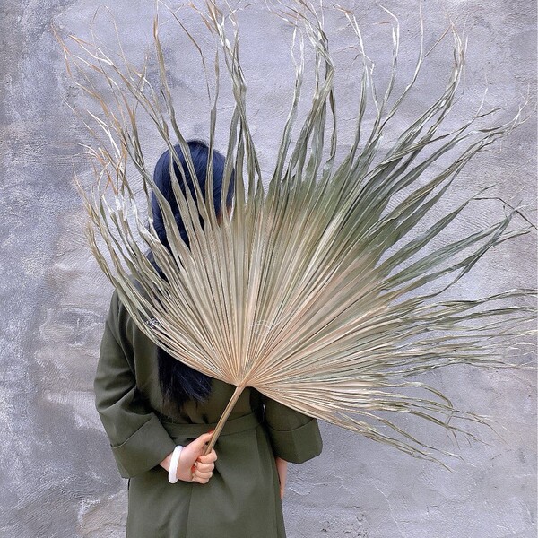 Palm fan blades dry flowers