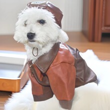 ���ﹷ���·�ѩ�{�����̩�ϲ����F�eС��Ȯ���_�й�Ƥ������ܛƤ