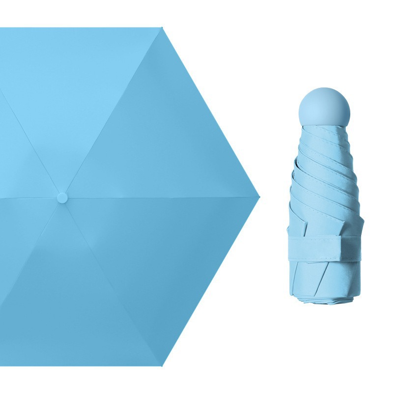 5 배 6 뼈 일반 검은 접착제 하늘색