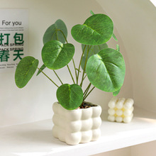 �͏d���滨�������Ը߼��б���پGֲ�ҼҾ��Ʒ�k��������С�辰