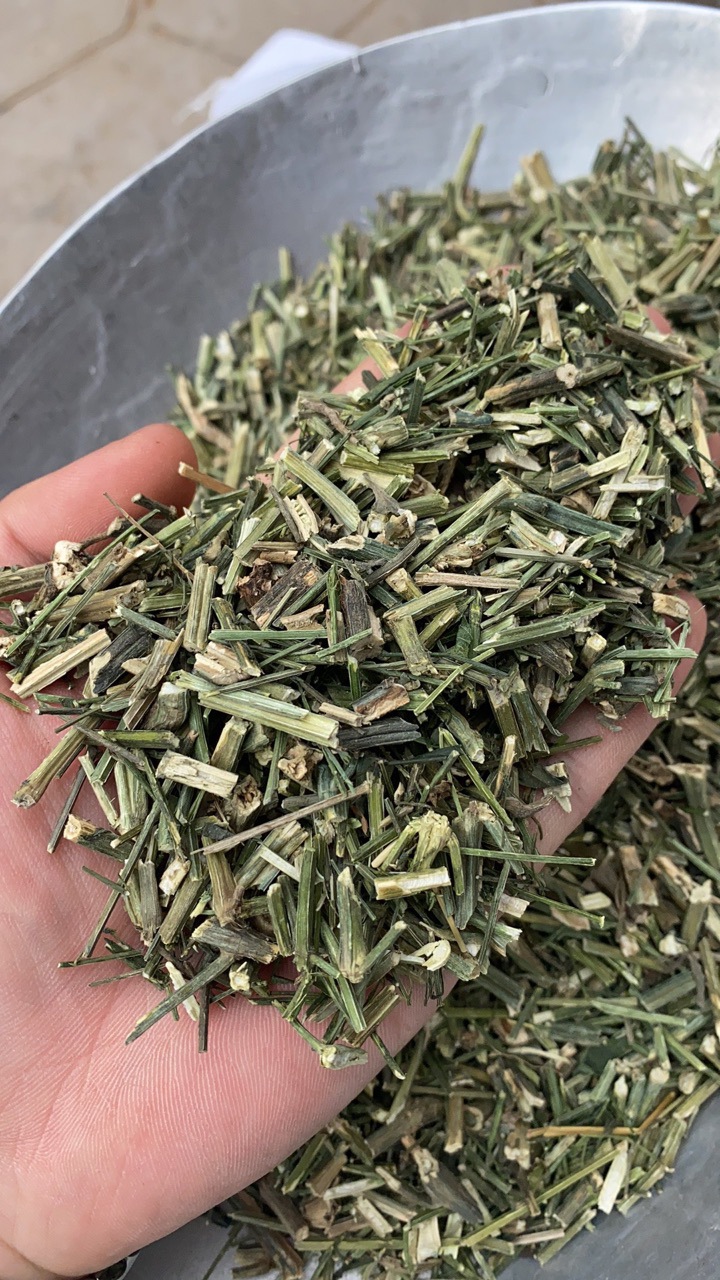 穿心莲 质量保证 量大从优 支持药监磨粉 厂家现货批发