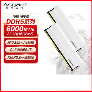 ��˹���غ���DDR5-6000-32G C30 ���b��y�׃ȴ�̨ʽ�C