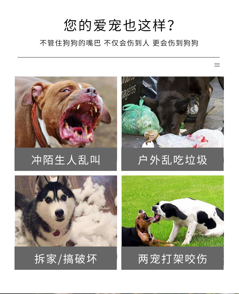 微信图片_202506052121202