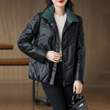 �����¿����Ƥ��q��Ů�̿�d��Ƥ��ɫ���s���I��ůƤ�����׺�