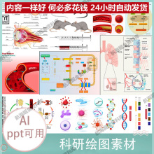 生物医学器官ppt图模板流程图图插图AI素材医学科研绘图细胞通路