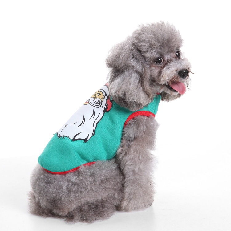 爆金犬ハロウィーンは服装をしている祝日を祝って、高強マジックはしわに強いペット服装をしている|undefined